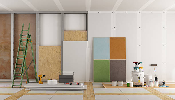 Mold Odor Removal Services in Caney, KS